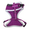 Huskimo Easyfit Dog Harness in Aurora - Small