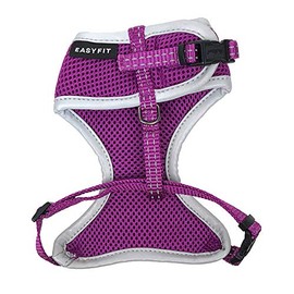 Huskimo Easyfit Dog Harness in Aurora - Small