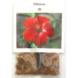Discount Hawaiian Gifts HAWAIIAN RED HIBISCUS PLANT CUTTING 2 - 4 Inches long Unrooted