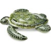 Unbranded Realistic Sea Turtle Inflatable Pool Float: Animal Pool Toy