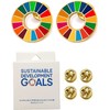 Light SDGs Badges (2-Piece Set) Genuine UN Cloisonne 1.0 inch