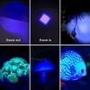 RaySoar 4 Color Light Single Mode Red Green Blue Cool