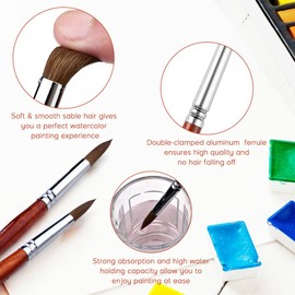 Kolinsky Watercolour Brushes Set 9 Pieces Superior Sable Hair Round Pointed Professional Art Paintbrush Round Tip Paint Brush Kit for Watercolour Acrylic Inks Gouache Tempera Painting