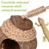 Hamiledyi Lizard Coco Den Reptile Hideouts Gecko Coconut Shell Hut