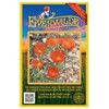 Everwilde Farms - 50 Scarlet Globe Mallow Native Wildflower Seeds