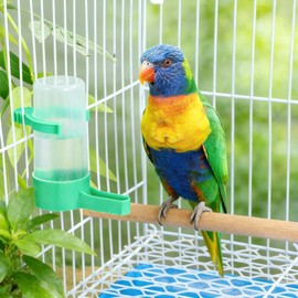 UKCOCO - Dispensador de agua para pájaros: alimentador automático de agua para pájaros para loros, palomas, Budgies, Lovebirds, verde