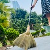 TTS For Home Vietnamese Broom 46-Inch Length for Sweeping Indoor