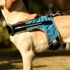 Dog Harness with LED Light Adjustable Comfortable Relieve Neck Pressure