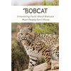 Bobcat: Interesting Facts About Bobcats Most People Don’t Know: Bobcat