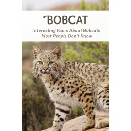 Bobcat: Interesting Facts About Bobcats Most People Don’t Know: Bobcat Animal Profile