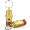 HONSNKS 2 Pcs 1/4" NPT(M) 175 PSI Air Compressor Pressure