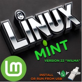 Linux Mint 22 Live USB Installer 64-Bit Version Wilma Cinnamon