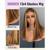 Hd Transparent Wear and Go Glueless P4/27 Highlight Bob Wig