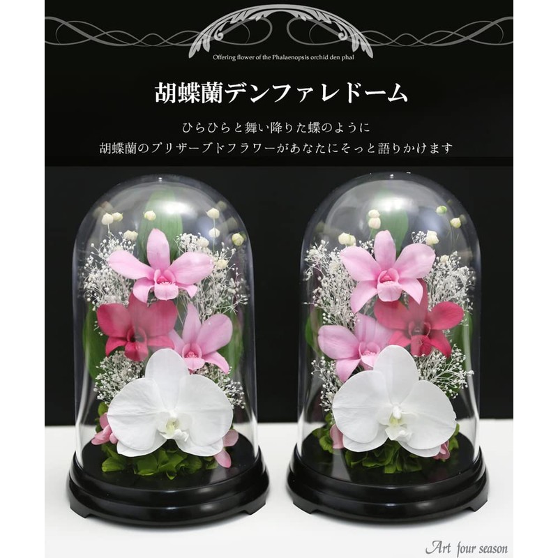 Art Four Seasons Phalaenopsis Denfare Dome Versus Design SET Pink