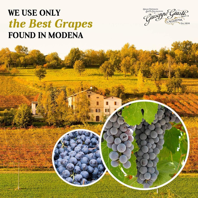 Giusti Balsamic Vinegar of Modena IGP – 5 Gold Medals