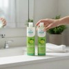 Pack 2 Shampoo Bergamota Sheló Nabel
