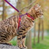 PUPTECK Adjustable Cat Harness and Leash Set Escape Proof Kitten