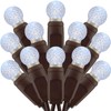SWEET SHINE 140 Cool White Raspberry One-Piece LED Christmas Lights,