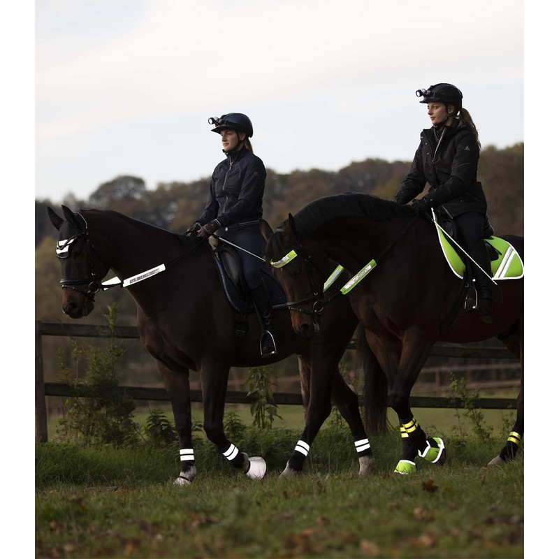 REFLEX Trensenzaum-Set