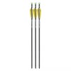 Ten-Point TenPoint Evo-X Centerpunch Lighted HP Alpha Blaze Arrows -