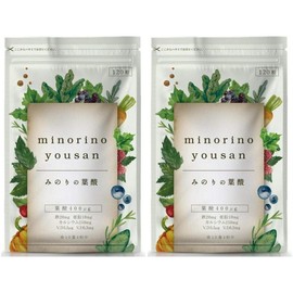 Minori Folic Acid Folic Acid Iron Calcium Copper Zinc 400g 120 Tablets 2 / 미노리의 폴릭 애시드 엽산 철분 칼슘 구리 아연 400g 120정 2개