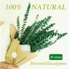 20 Pcs Preserved Dried Eucalyptus Stems, 17" Natural Fresh Eucalyptus
