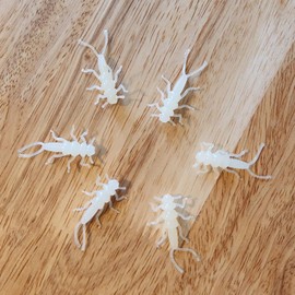 PA Lures Glow Soft Plastic Stonefly 20 Pack