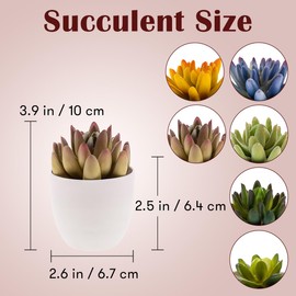 Gresorth Set of 6 Artificial Succulents Plant Decoration in Pots Faux Lotus Landscape Lifelike Assorted Aloe Potted Ornament Wedding Holiday