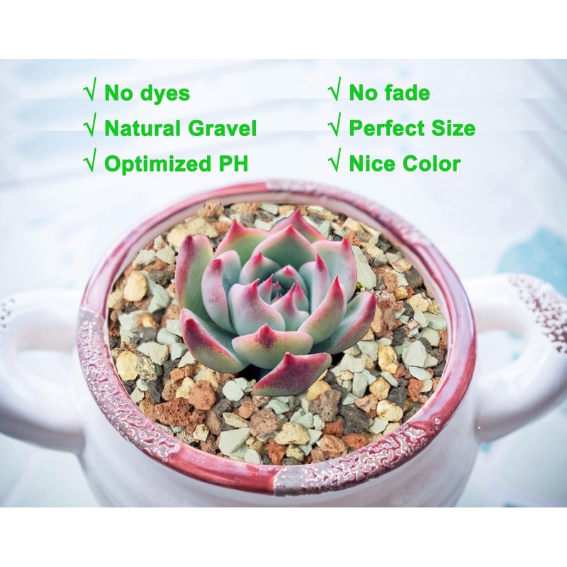 2lb Bonsai Succulent and Cactus Soil Boniosz Gritty Mix Rocks