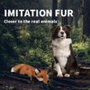 ALL FOR PAWS Fox Dog Toy with Squeaker, 10-inch/ 25