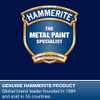 Hammerite 5092819 6100244 90ml Kurust