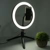 26cm/10in Ring Light LED Live Lamp Fill Light Dimmable USB