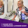 Simple Green All Purpose Cleaner Concentrate Lavender Scent 64 Fl