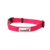 Doodlebone Dog Collar, Fuchsia, 3-6