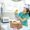 10 Set Poultry Baby Chick Shipping Boxes with 10 Coconut