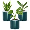 D'vine Dev 4 Inch Design Self Watering Planter for Indoor