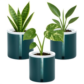 D'vine Dev 4 Inch Design Self Watering Planter for Indoor Plants, White Terracotta Pot with Teal Cylinder Glass Cup, Set of 3,37-Z-A-5-T