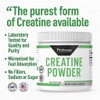 Probase Nutrition Creatine Powder 300 Grams