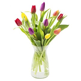 KaBloom Assorted Tulip Bouquet of Red, Orange, Purple & Yellow Tulips (10 Stems) with Vase