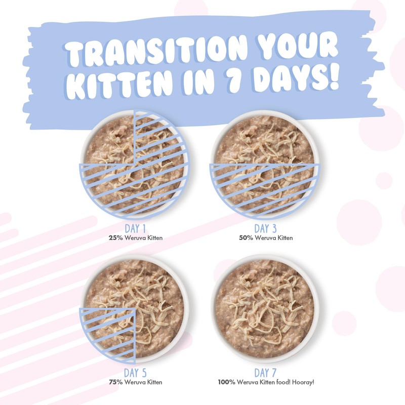 Weruva Kitten, Fur Baby Favorites Variety Pack, 3oz Can (Pack