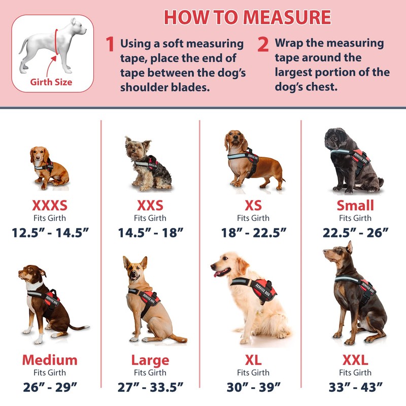 Service Dog in Training Vest with Hook and Loop Straps