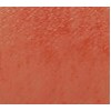 3CE Blur Water Tint - #BAKE BEIGE