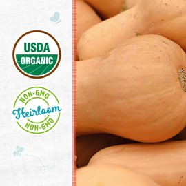 Back to the Roots - 100% Organic Seed Packet - Squash 'Winter Waltham Butternut' 2.8g