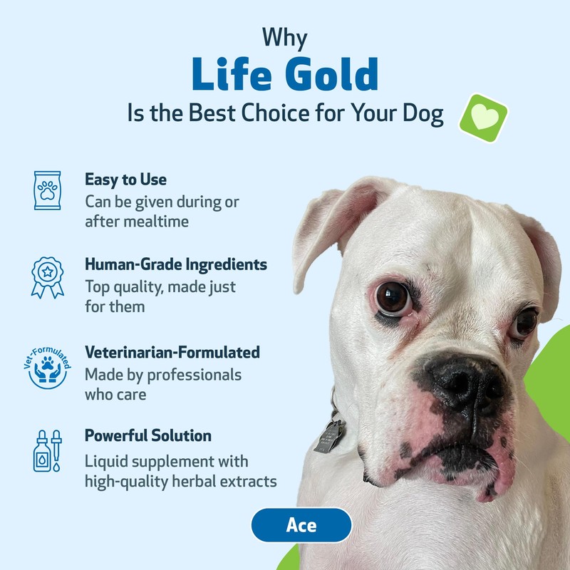 Pet Wellbeing Life Gold for Dogs (4 fl oz (118