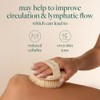 EcoTools, Dry Body Brush, Cepillo Ecológico para Exfoliar, Cepillos Corporales