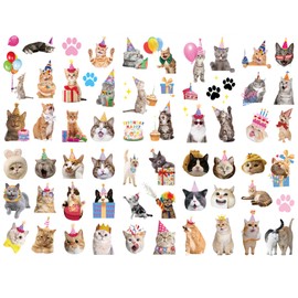 60 PCS Cat Tattoos, Cat Temporary Tattoos for Kids,Cute Animal Fake Tattoos Stickers for Birthday Party Decorations Supplies Favors, Waterproof Pet Cat Meme Tattoo for Girls Boys Body Art Decor Q851