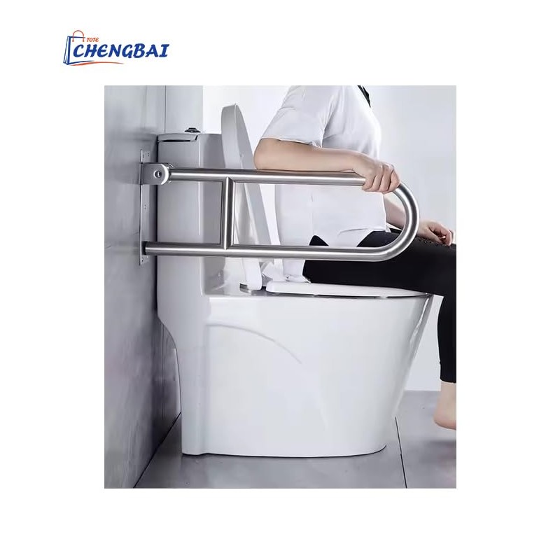 The Popular Stainless Steel Grab bar, 23.6 Inch Wall Mounted