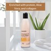 McKesson Shampoo and Body Wash with Aloe, Apricot Scent, 8