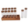 Coffee Bean Storage Tubes with Walnut Wood Stand Lid Glass