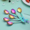 Berglander Rainbow Teaspoon, Stainless Steel Tea Spoon Dessert Spoon with